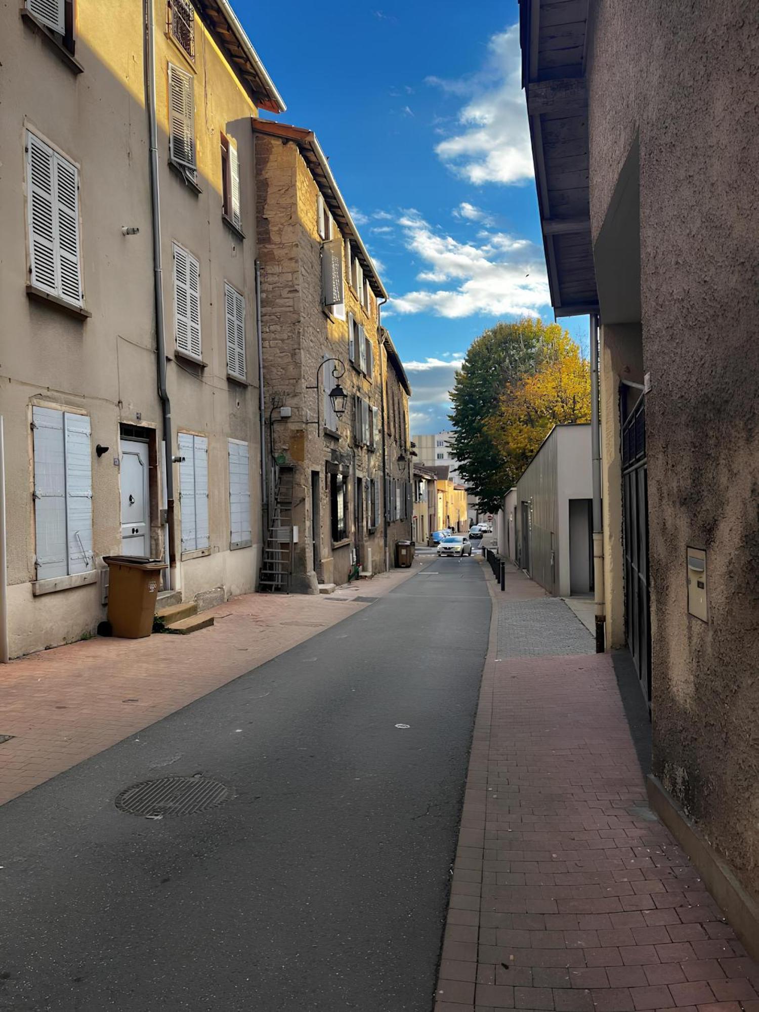 Tinyhouse Experience In Beaujolais Apartment Villefranche-sur-Saone Exterior photo